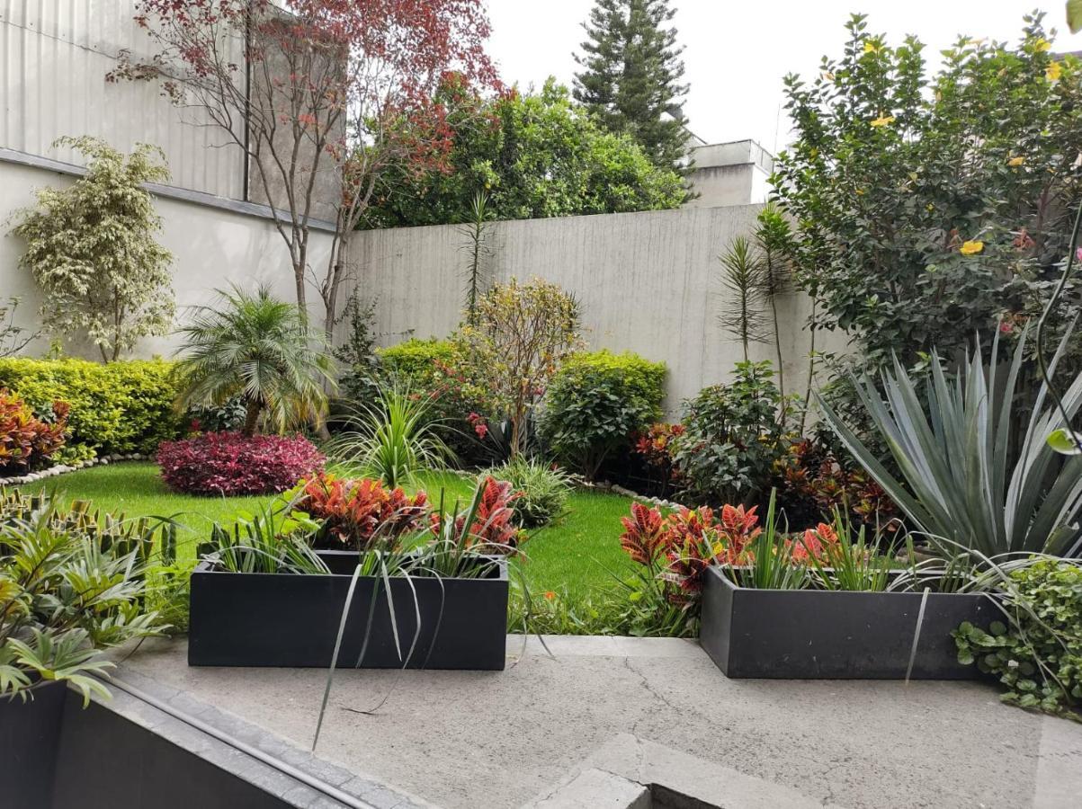 Departamento Entero En El Corazon De La Ciudad Apartment Kota Meksiko Bagian luar foto